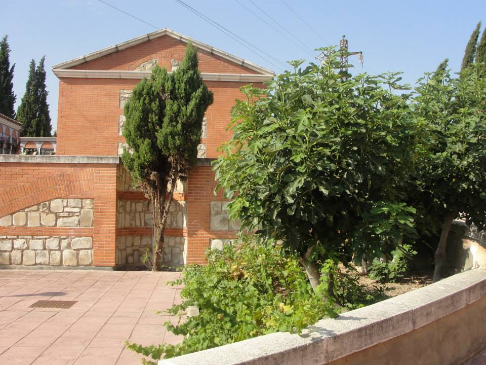 Arquitectura civil — imagen 5
